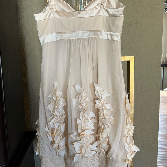 Stunning Sue Wong Size 2 Cocktail dress for prom - Picture 2 of 6